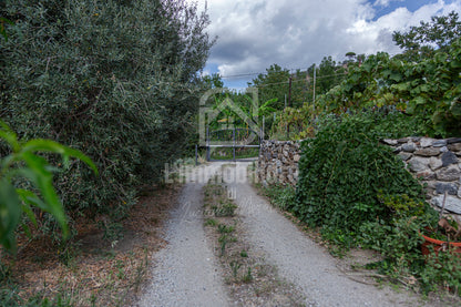 Villa in vendita in contrada Ortera S. Margherita, Messina rif. 31753423